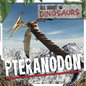 Pteranodon - Paperback