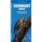 Vermont Birds: An Introduction to Familiar Species