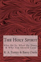 The Holy Spirit: Who He Is, What He Does, & Why You Should Care - Paperback