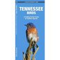 Tennessee Birds: A Folding Pocket Guide to Familiar Species