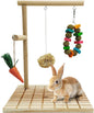 Rabbit Chew Toys Scratch Board Bunny Teeth Grinding Toy Set Small Pet