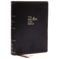 The Breathe Life Holy Bible: Faith in Action (Nkjv, Black Leathersoft, Thumb Indexed, Red Letter, Comfort Print) - Imitation Leather