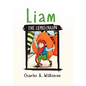 Liam the Leprechaun - Paperback