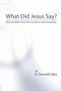 What Did Jesus Say?: Why The Bible Does Not Condemn Homosexuality - Paperback