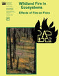 Wildland Fire in Ecosystems: Effects of Fire on Flora - Paperback