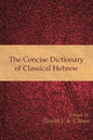 The Concise Dictionary of Classical Hebrew - Hardcover
