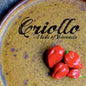 Criollo: A Taste of Venezuela - Paperback