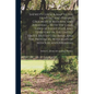 Shewey's Guide & map to the Hunting and Fishing Grounds of Missouri and Arkansas ... With the Game Laws of Every State and Territory in the United Sta - Paperback