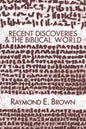 Recent Discoveries and the Biblical World - Paperback
