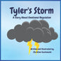 Tyler's Storm: A Story About Emotional Regulation - Paperback