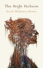 This Bright Darkness - Paperback