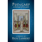 Polycarp, a destroyer of our gods - Paperback