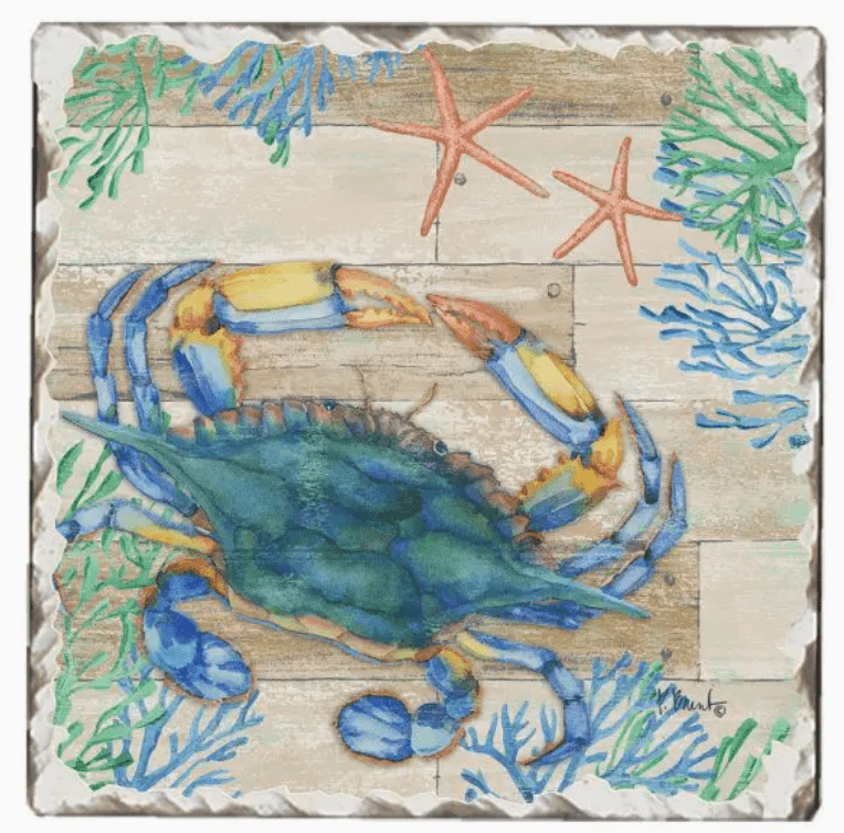 Beach Vibes Assorted Single Coasters
