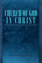 Church of God in Christ: Leadership Guidebook for Ministers - Paperback
