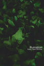 Ruination - Paperback