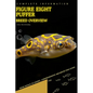 Figure eight puffer: From Novice to Expert. Comprehensive Aquarium Fish Guide - Paperback
