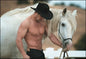 Birthday Card - I Know How Much You Like Horses