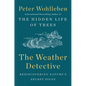 The Weather Detective: Rediscovering Nature's Secret Signs - Hardcover