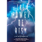 The Power of Risk: How Intelligent Choices Will Make You More Successful--A Step-by-Step Guide - Paperback