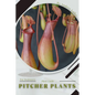 Pitcher Plants: Plant Guide - Paperback