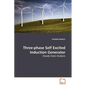 Three-phase Self Excited Induction Generator - Paperback