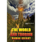The World and Thorinn - Paperback