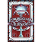 The Looking-Glass Illusion: Volume 2 - Paperback