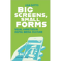 Big Screens, Small Forms: Visual Varieties in Digital Media Culture - Paperback