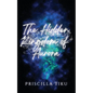 The Hidden Kingdom Of Aurora - Paperback