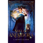 Soul of Anesidora: The Sorcerer's Guide - Hardcover