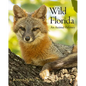 Wild Florida: An Animal Odyssey - Hardcover