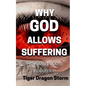 Why God Allows Suffering: Revealing God's Innocence - Paperback