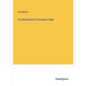 The Methodist Protestant Pulpit - Paperback