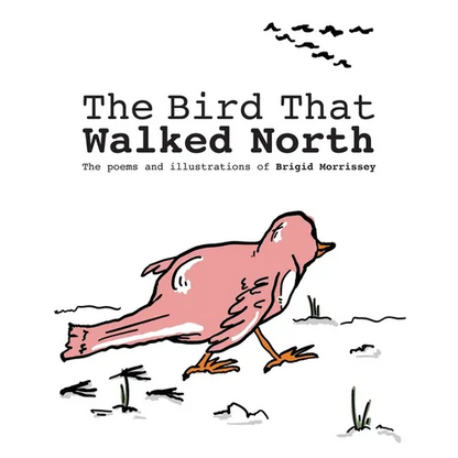 The Bird That Walked North - Paperback