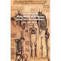 Astrological Judgement of Diseases from the Decumbiture of the Sick - Paperback