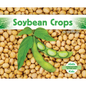 Soybean Crops - Library Binding