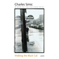 Walking the Black Cat - Paperback