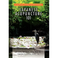 Japanese Acupuncture 101 - Hardcover