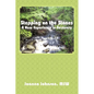 Stepping on the Stones: A New Experience in Recovery - Paperback