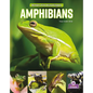 Amphibians - Library Binding