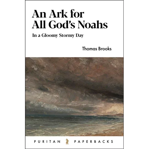 An Ark for All God's Noahs: In a Gloomy, Stormy Day - Paperback