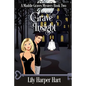 Grave Insight - Paperback