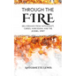 Through the Fire: Deliverance from Witchcraft, Curses, Narcissism, and the Jezebel Spirit - Paperback