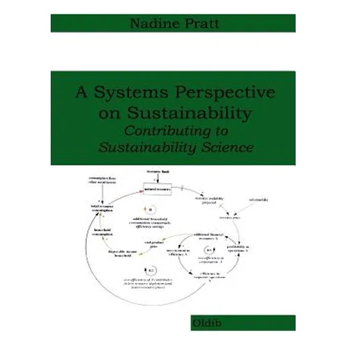 A Systems Perspective on Sustainability: Contributing to Sustainability Science - Paperback
