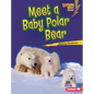 Meet a Baby Polar Bear - Library Binding