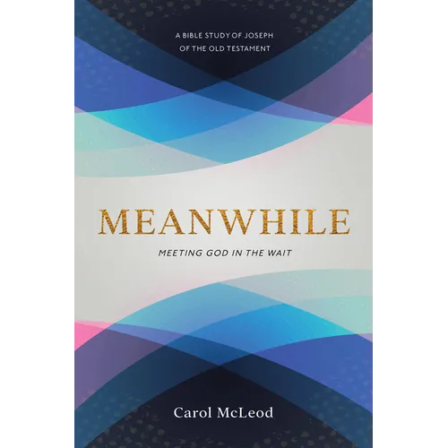 Meanwhile: Meeting God in the Wait: Meeting God in the Wait - Paperback