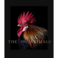 Estela de Castro: The Animals - Hardcover