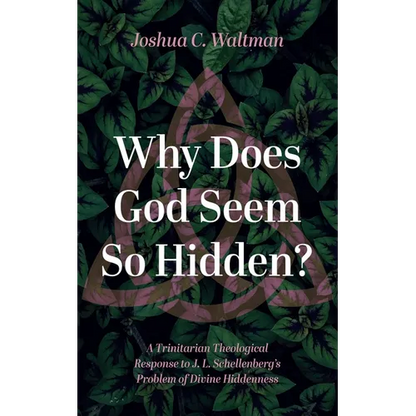 Why Does God Seem So Hidden?: A Trinitarian Theological Response to J. L. Schellenberg's Problem of Divine Hiddenness - Paperback