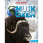 Musk Oxen - Library Binding