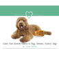 Alex the Brave Meets a Big, Brown, Furry Dog! - Hardcover